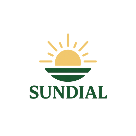 Stylish Walking Shoes for Moms Who Do It All - Sundial