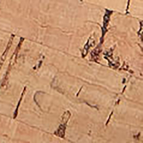 Willis Cork *Final Sale*