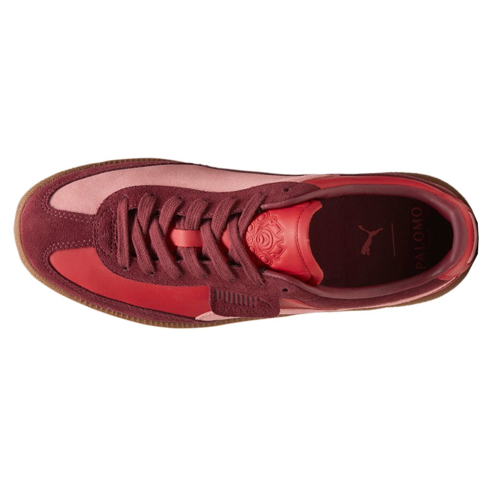 Palomo x Palermo Lace Up Sneakers - SundialPalomo x Palermo Lace Up Sneakers