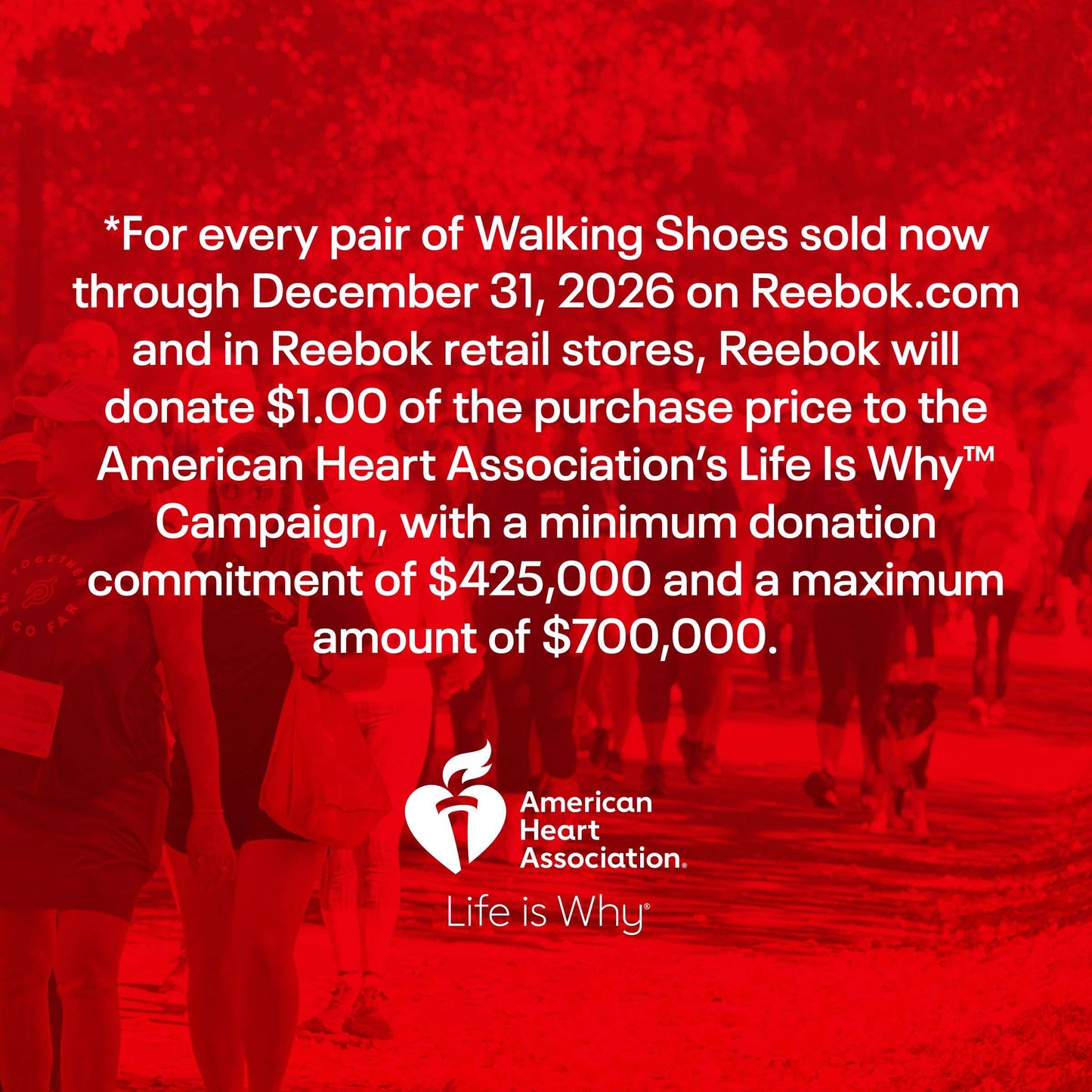 Women's Active Lite Shoes