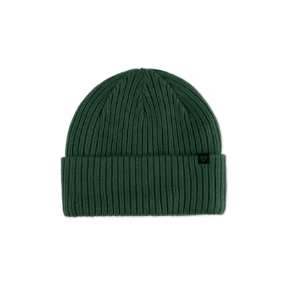 Forecast Beanie - Pine