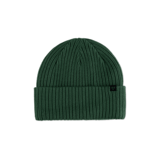 Forecast Beanie - Pine