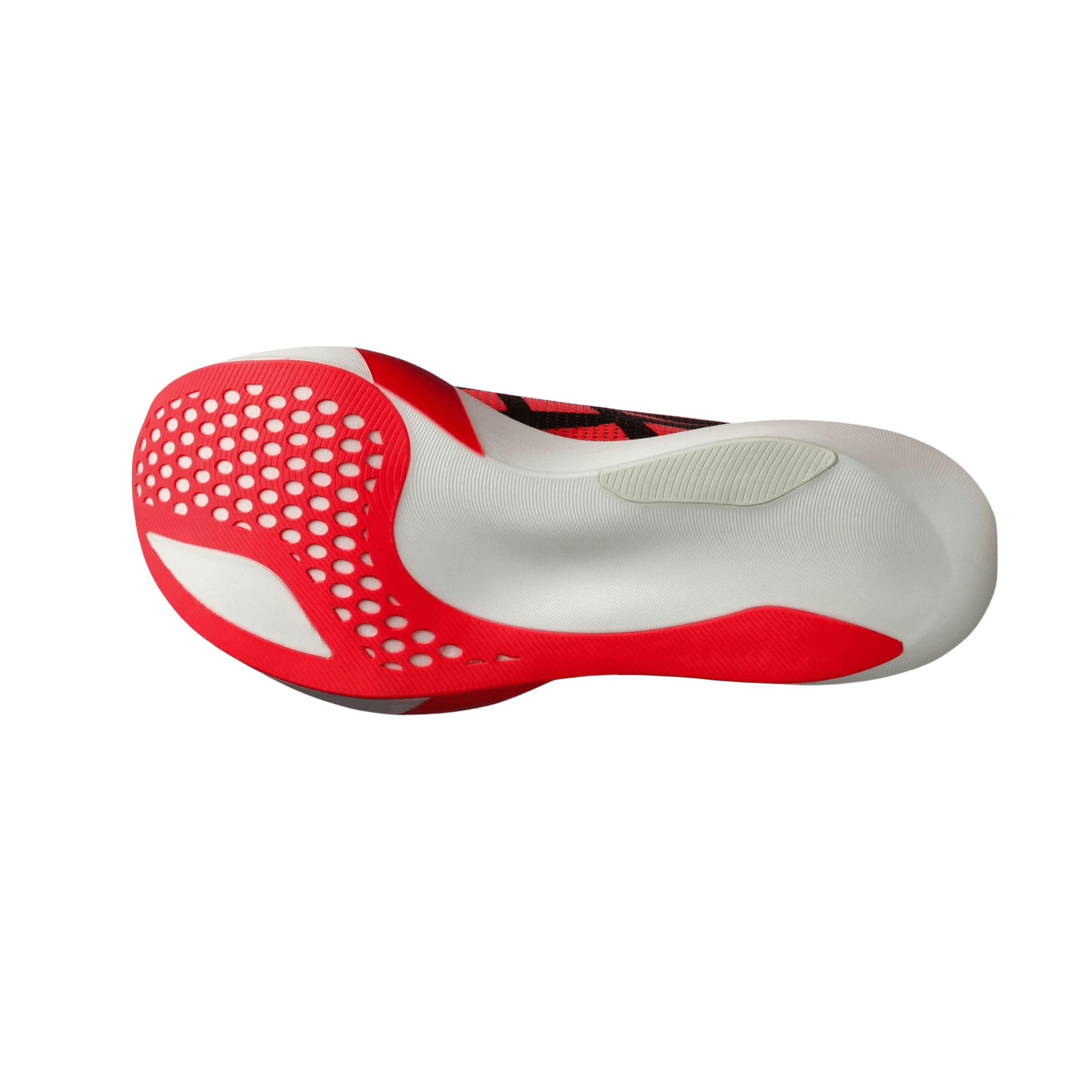 ASICS MEN AND WOMEN'S METASPEED SKY TOKYO - SundialASICS MEN AND WOMEN'S METASPEED SKY TOKYO