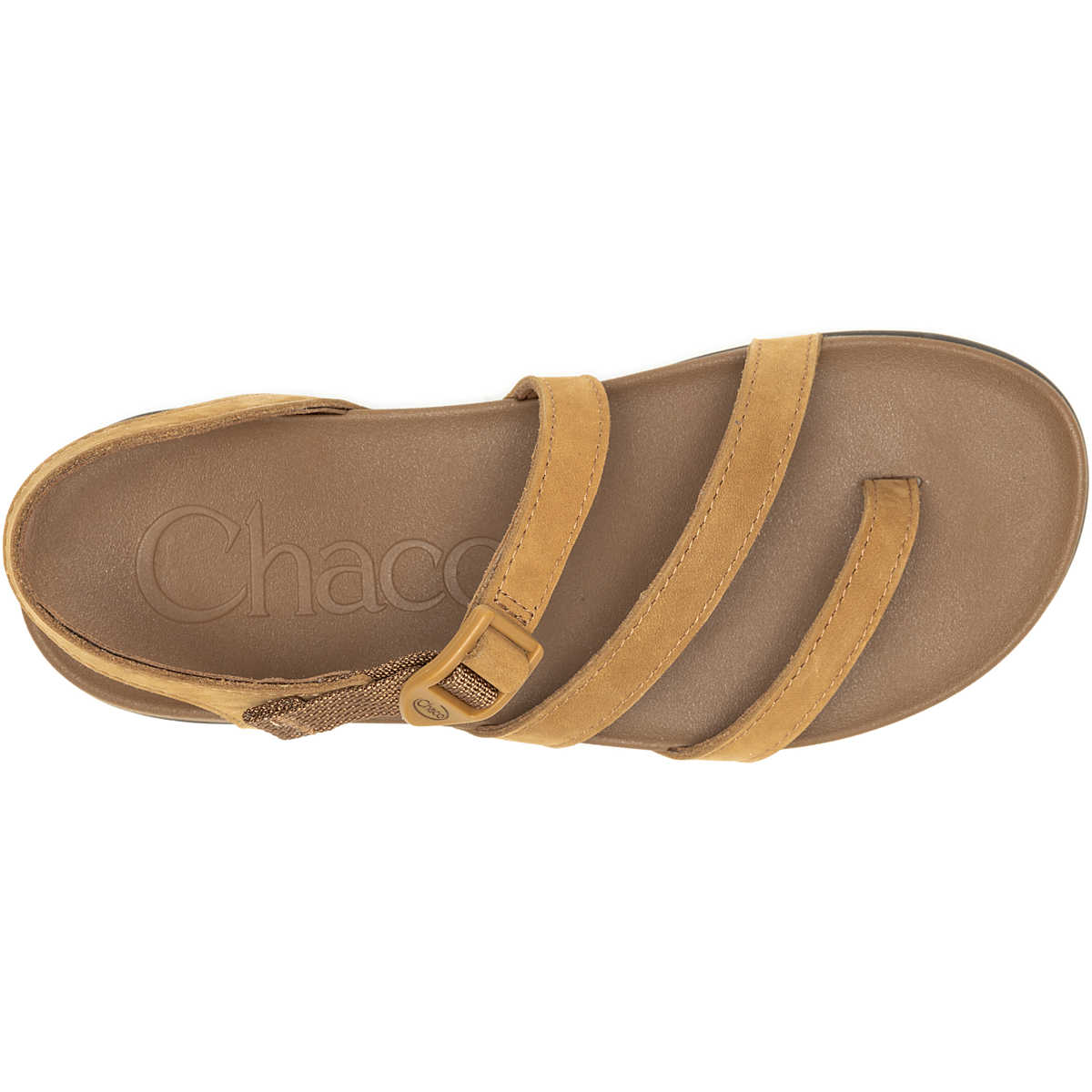 CHACO INC LOWDOWN STRAPPY - JCH109644Z - SundialCHACO INC LOWDOWN STRAPPY - JCH109644Z