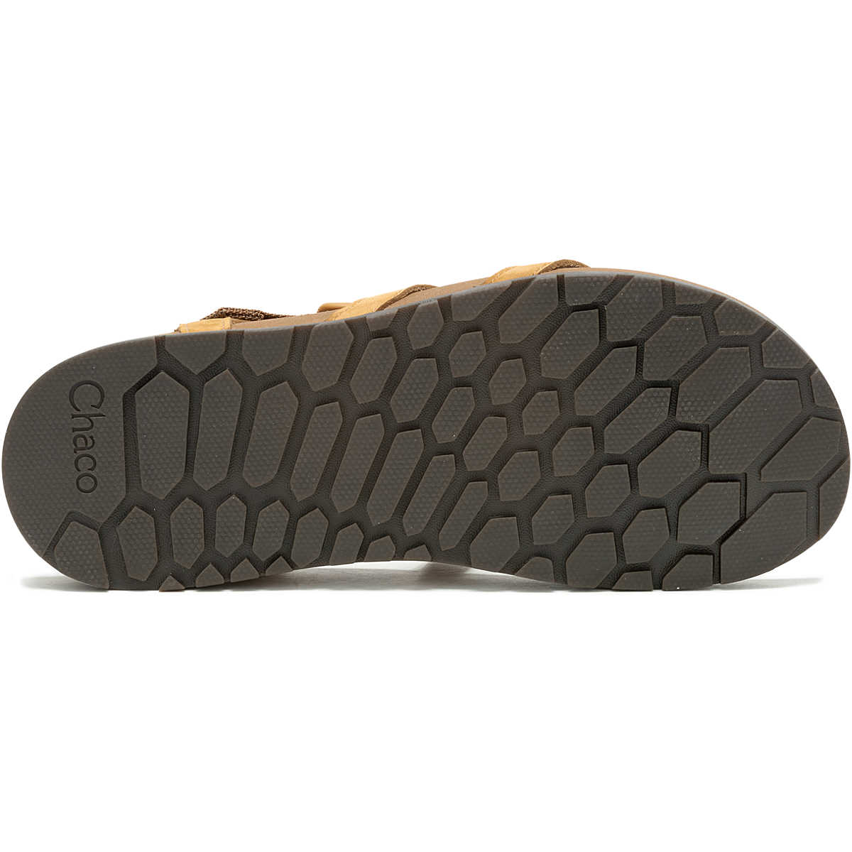 CHACO INC LOWDOWN STRAPPY - JCH109644Z - SundialCHACO INC LOWDOWN STRAPPY - JCH109644Z