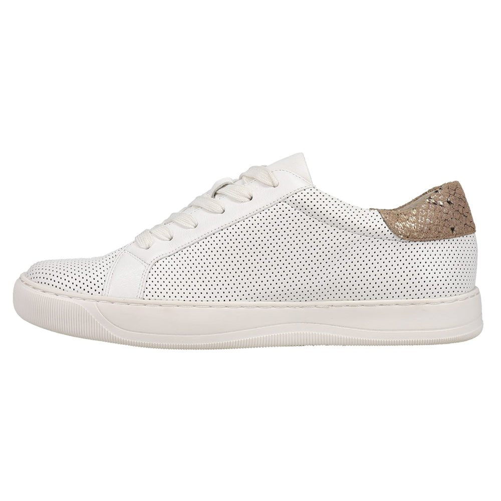 Coyle Perforated Lace Up Sneakers - SundialCoyle Perforated Lace Up Sneakers