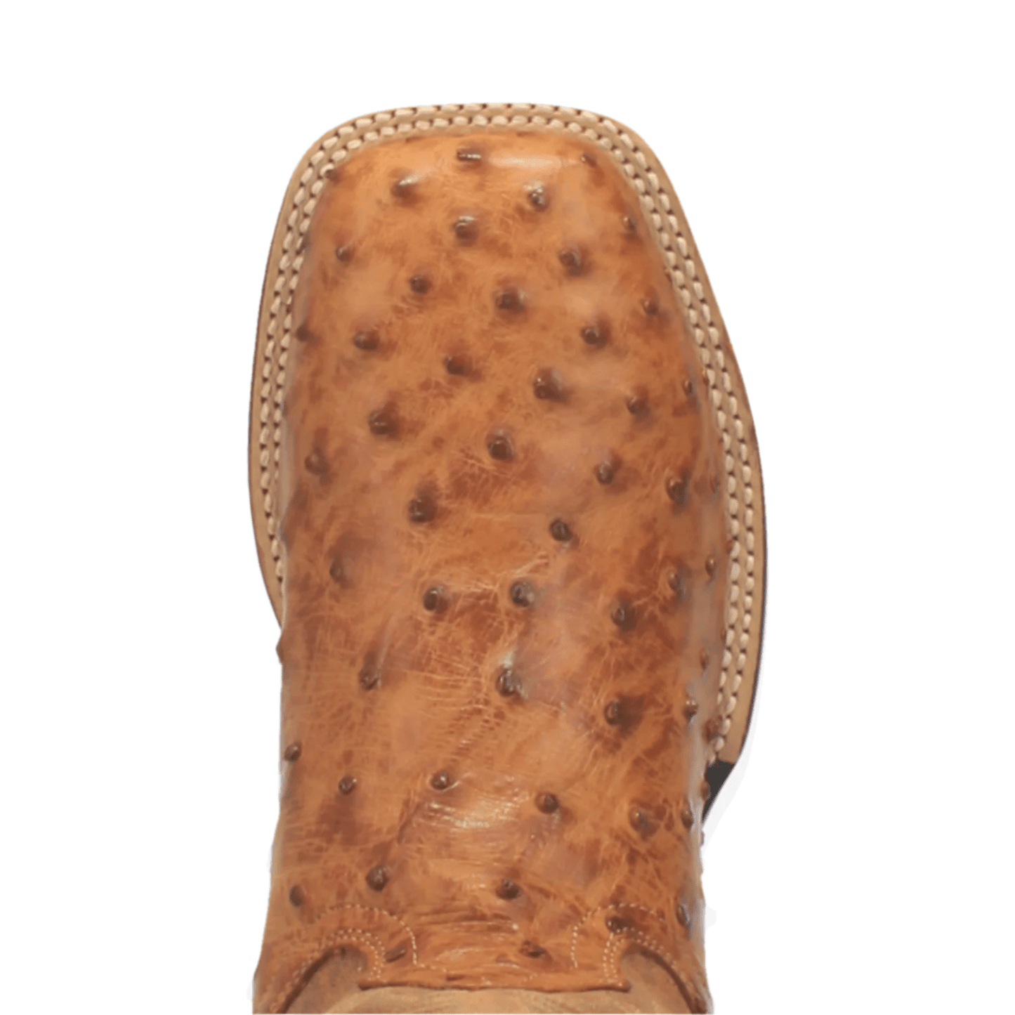 Dan Post Men's Saddle Tan Alamosa Full Quill Ostrich Exotic Boots DP3876