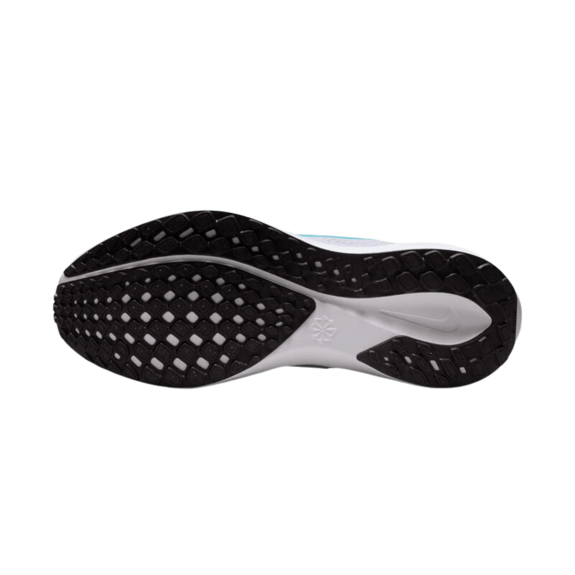 NIKE WOMEN'S PEGASUS 41 - SundialNIKE WOMEN'S PEGASUS 41