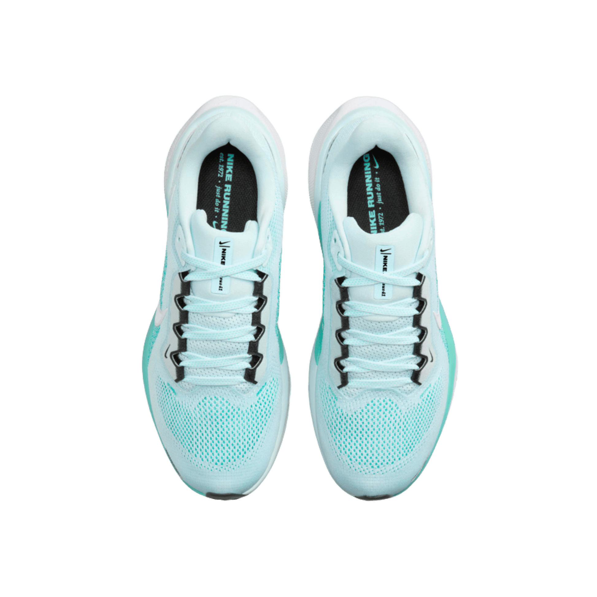 NIKE WOMEN'S PEGASUS 41 - SundialNIKE WOMEN'S PEGASUS 41