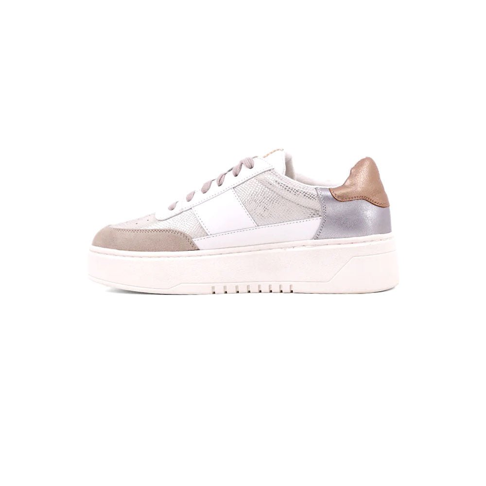 Oriana Metallic Snake Print Lace Up Sneakers - SundialOriana Metallic Snake Print Lace Up Sneakers