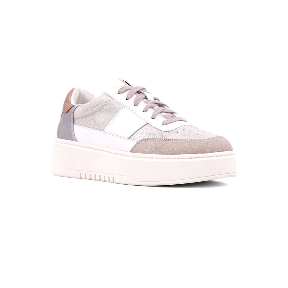 Oriana Metallic Snake Print Lace Up Sneakers - SundialOriana Metallic Snake Print Lace Up Sneakers