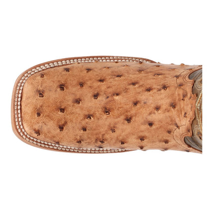 PRCA Collection Full - Quill Ostrich Embroidered Square Toe Pull On Cowboy Boots - SundialPRCA Collection Full - Quill Ostrich Embroidered Square Toe Pull On Cowboy Boots