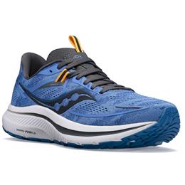 Saucony Omni 21 Women's Running Shoe Horizon, Shadow S10762-30 – product image